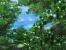 Mods für Oblivion - <a class="posRel pe-4" href="http://www.tesnexus.com/downloads/file.php?id=40367" target="_blank" rel="noopener " >Download<span class="icon extLinkIcon posAbs"></span></a>
