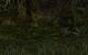 Morrowind - <a href="http://www.pcgameshardware.de/aid,667454/Alte-Perlen-mit-maximaler-Grafik-The-Elder-Scrolls-III-Morrowind-Bilder-Update/Rollenspiel-Adventure/Test/" target="_self" >Link</a>