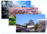 Die entspannende Atmosphäre eines Zen-Gartens mit drei wechselnden Wallpapers auf Ihrem Rechner. [url=http://windows.microsoft.com/de-DE/windows/downloads/cherry-blossoms-of-japan-theme ]Download[/url]
