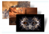 Dieser Theme bietet tägliche Illusionen mit drei wechselnden Desktop-Hintergründen. [url=http://windows.microsoft.com/en-US/windows/downloads/illusions-theme ]Download[/url]
