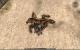 Arcania Gothic 4 Fall of Setarrif mit Downsampling (45)