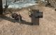 Arcania Gothic 4 Fall of Setarrif mit Downsampling (48)