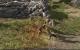 Arcania Gothic 4 Fall of Setarrif mit Downsampling (11)
