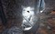 Gothic 3 & Götterdämmerung: Sowohl das Hauptspiel als auch das Addon hatten zum Start mit vielen Bugs zu kämpfen, das Spiel ansich begeisterte die meisten Fans - speziell nach dem Release der Community-Patches. (15)