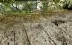 Serious Sam 3: Technik- und Gameplay-Preview mit PCGH-Impressionen (9)
