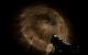 Serious Sam 3: Technik- und Gameplay-Preview mit PCGH-Impressionen (39)