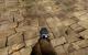 Serious Sam 3: Technik- und Gameplay-Preview mit PCGH-Impressionen (52)