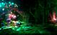 Trine 2: Wunderschöne Screenshots aus der Beta-Version (16)
