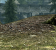 AF: Radeon HD 5870