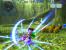 Chantelise: A Tale of Two Sisters - 62 versus 65 (Presse versus User)
