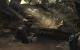 Call of Duty Modern Warfare 3: Bildqualität "Extra"