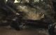 Call of Duty Modern Warfare 3: Bildqualität "Nativ" mit 4x SGSSAA