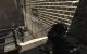 Call of Duty: Modern Warfare 3 maxed & downsampled (180)