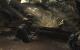Call of Duty: Modern Warfare 3 maxed & downsampled (107)