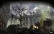 Call of Duty: Modern Warfare 3 maxed & downsampled (57)
