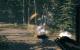 2009: Call of Juarez Bound in Blood (die vierte Inkarnation der Chrome-Engine bietet gute ...)