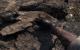 Modern Warfare 3: Bilder aus dem Singleplayer (113)