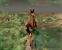 Outcast: Das 12 Jahre alte Voxel-Wunder trifft auf die Gegenwart - Pixelshader, Tessellation und detaillierte Schatten schon 1999 (GOG.com-Version in 1.280x1.024 mit LOD-Tweak) (29)