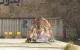 Serious Sam 3 BFE downsampled: DX9 maxed out dank Serious Engine 3.5 (129)