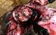 Serious Sam 3 BFE downsampled: DX9 maxed out dank Serious Engine 3.5 (36)