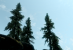 The Elder Scrolls 5 Skyrim: Tuning-Tipps für Ambient Occlusion, bessere Schatten und Wasser, reduzierter Maus-Lag sowie Kantenglättung (19)