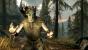 The Elders Scrolls als Technik-Historie: Von Morrowind über Oblivion bis Skyrim (10)