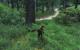 The Elders Scrolls als Technik-Historie: Oblivion