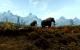 Test der Geforce GTX 660 Ti (Skyrim)