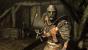 The Elder Scrolls 5: Skyrim (3)