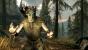 The Elder Scrolls 5: Skyrim (7)