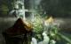 The Elder Scrolls 5 Skyrim: Rollback auf die Version 1.1 durchführen
