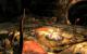 The Elder Scrolls 5 Skyrim: Tuning-Tipps für Ambient Occlusion, bessere Schatten und Wasser, reduzierter Maus-Lag sowie Kantenglättung (9)