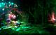 2011: Trine 2 (das wunderschöne Setting kommt mit guten Schatten daher)