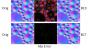 DirectX 11: Verbesserte Texurkompression. Das BC7-Format erzeugt bei der Verdichtung von Texturinhalten weniger Verluste und somit ein saubereres Bild. Texturkompression ist wichtig, um Speicherplatz, nicht nur im Videospeicher, sondern vor allem in den Caches zu sparen.