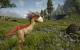 2006: Die Genome-Engine von Gothic 3 nutzt das Shader-Model 3.0 von DX9 unter anderem für Detailschatten, das schicke per-Pixel-Lighting gibt's auch mit SM 2.0
