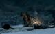 Skyrim by Gionight (39)