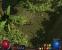 Path of Exile Beta by KKRT00 (7)