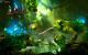 Trine 2: Beste 3D-Vision-Einstufung und Supersampling-AA sowie FXAA von Haus aus plus PCGH-Screenshots (11)