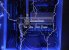Blitzeinschlag im PC: Casemod The Blue Flash (146)