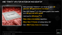 AMD Trinity APU Deck 1