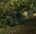 Crysis Warhead DX10: 4x Multisample-AA (Tahiti/HD 7970)
