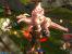 DX8: MMOs müssen eine große Hardware-Bandbeite abdecken, da wundert es nicht, dass Guild Wars 2005 noch auf DX8 setzt