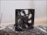 Noiseblocker Blacksilentpro PLPS im PCGHX-Test (2)