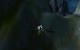 World of Warcraft maxed Det., 32xS, Downsampling 2.520 x 1.575 (5)