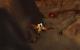 World of Warcraft maxed Det., 32xS, Downsampling 2.520 x 1.575 (9)