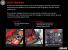 Asus Radeon HD 7970 Direct CU II kommt - Erstes Bildmaterial gesichtet. (5)