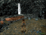 Tomb Raider (1996): Eine echte Spieleikone wurde im Jahr 1996 geboren. Die Archäologin Lara Croft sprang, hangelte und kämpfte sich durch Dschungel und Tempel, um einen geheimnisvollen Schatz zu bergen. Dabei kam weder der Spaß, noch die Action zu kurz.