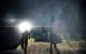 Alan Wake PC: Test des Psychological Action Thrillers (6)