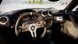 Project Cars: Abnorme Detailfülle (1)