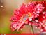 Windows 8: Brandneue Screenshots mit interessanten Details aus Build 8220 (10)
